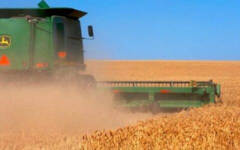 روسيا ترفع أسعار القمح مع زيادة الصادرات وتحذير أوكراني عاجل