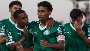 “تحية الذئب” في يورو 2024 تتفاعل.. ألمانيا تستدعي سفير تركيا