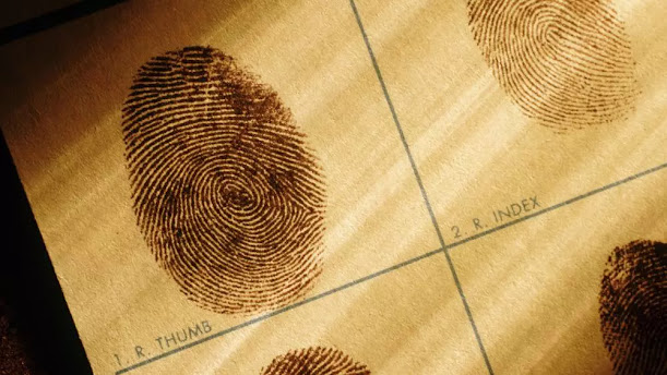 حقائق مثيرة عن بصمات الأصابع.. لا تتغير مع العمر والبعض يولد من دونها