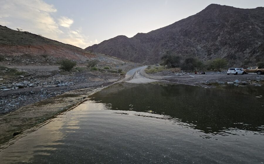 مسودة تلقائية